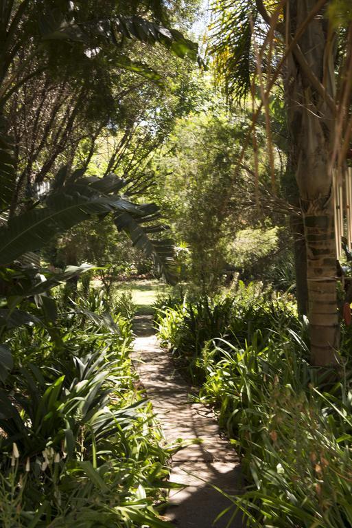 Tuareg Guest House Midrand Eksteriør billede